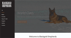 Desktop Screenshot of blackgoldshepherds.com